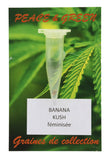 graine de banana kush cbd